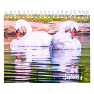 Swan Calendar カレンダー