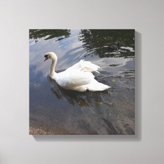 SWAN CANVAS威厳のある PRINT キャンバスプリント