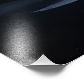 Swan Family on Black Lake Artwork フォトプリント (角)