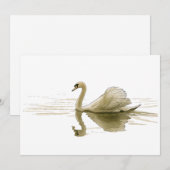 Swan Gliding Over Water 招待状 (正面/裏面)