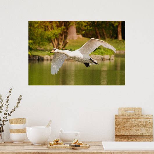 Swan In Flight ポスター (キッチン)