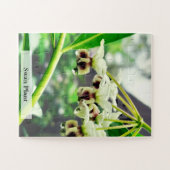 Swan Plant: Monarch’s First Home 30 Pcs ジグソーパズル (横)