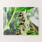 Swan Plant: Monarch’s First Home 56 Pieces ジグソーパズル (横)