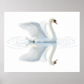 Swan Reflection ポスター (正面)