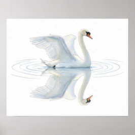 Swan Reflection ポスター