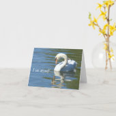 SWAN&REFLECTION PHOTO カード (黄色い花)