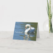 SWAN&REFLECTION PHOTO カード (正面)