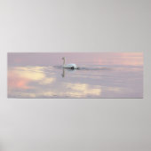 Swan Reflections Poster ポスター (正面)