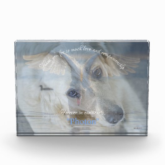 Swan Transparent Image Overlayアクリルフォト フォトブロック (正面)