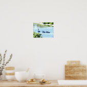 Swan With Cygnets On River. ポスター (キッチン)