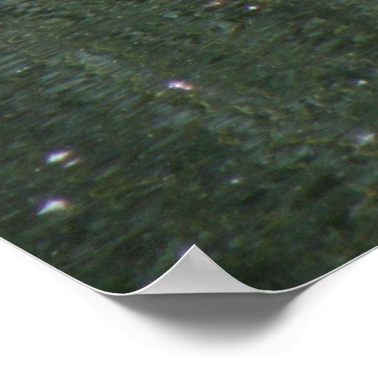 Swans and Cygnets Poster ポスター (角)