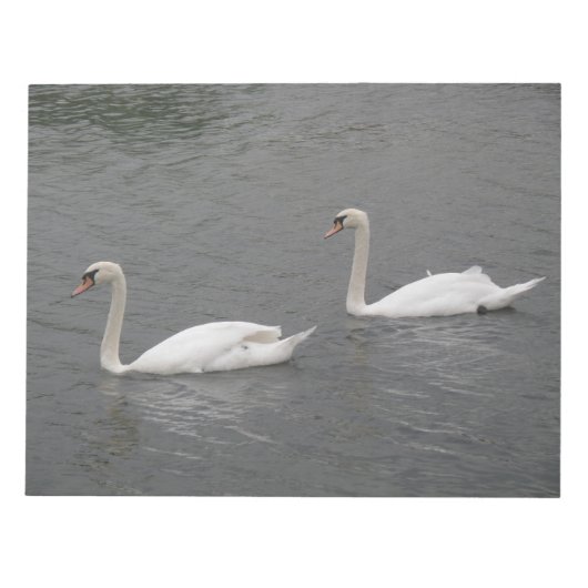 Swans on the River Notepad ノートパッド (正面)