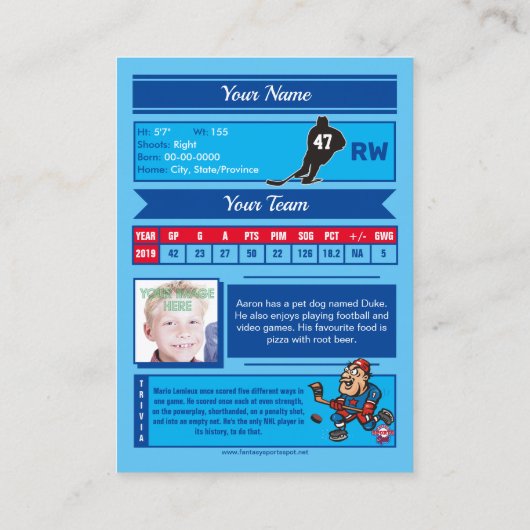 Swash Hockeyトレーディングカード – カスタム統計 コーリングカード (裏面)