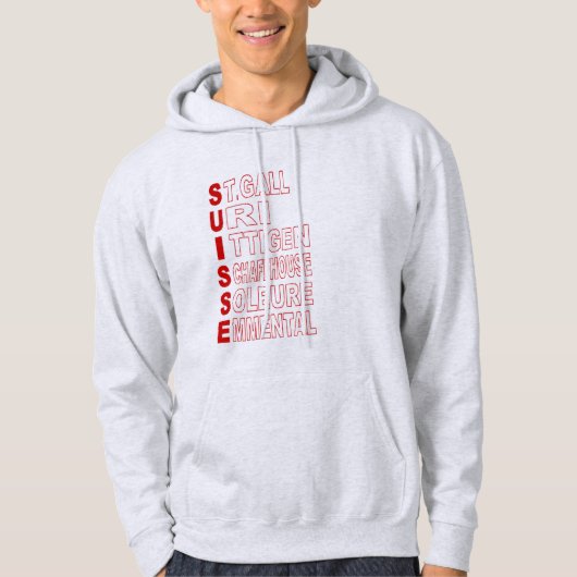 Sweat à capuche cndre homme TOURISME SUISSE パーカ (正面)