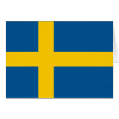 Sweden Flag (正面横)