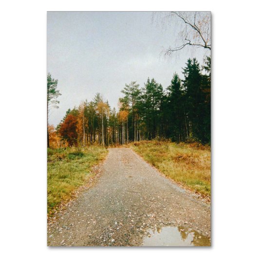 Swedish Autumnal Forest テーブルナンバー (正面)