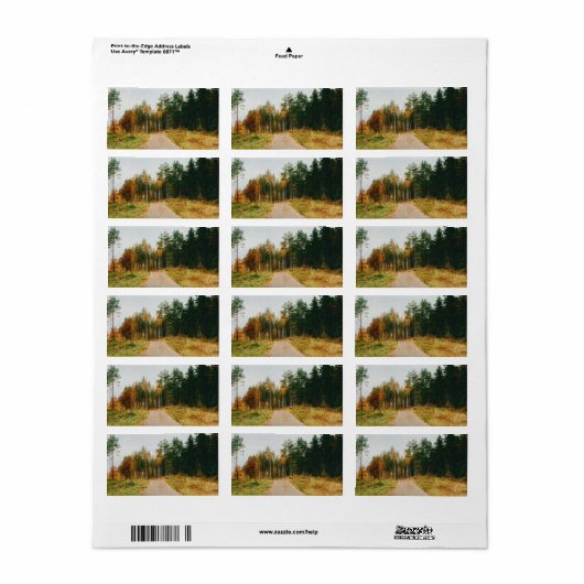Swedish Autumnal Forest ラベル (フルシート)