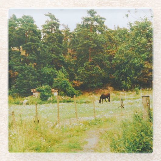 Swedish Countryside ガラスコースター (正面)