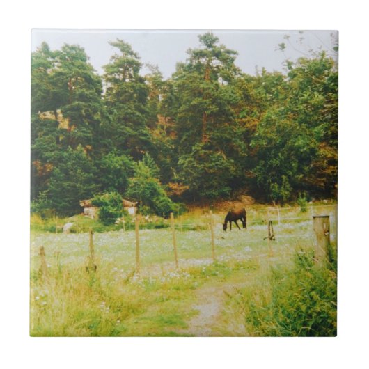 Swedish Countryside タイル (正面)
