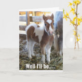 SWEEEEET DONKEYが30歳の誕生日を祝う！カード カード (黄色い花)