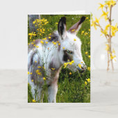 Swee'pea カード (黄色い花)