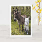 Swee'pea カード (黄色い花)