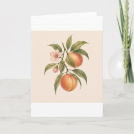 Sweet as a Peach | Vintage Peach Botanical Design カード