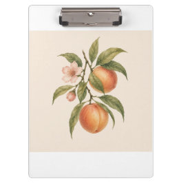 Sweet as a Peach | Vintage Peach Botanical Design クリップボード