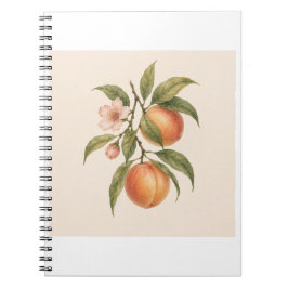 Sweet as a Peach | Vintage Peach Botanical Design ノートブック