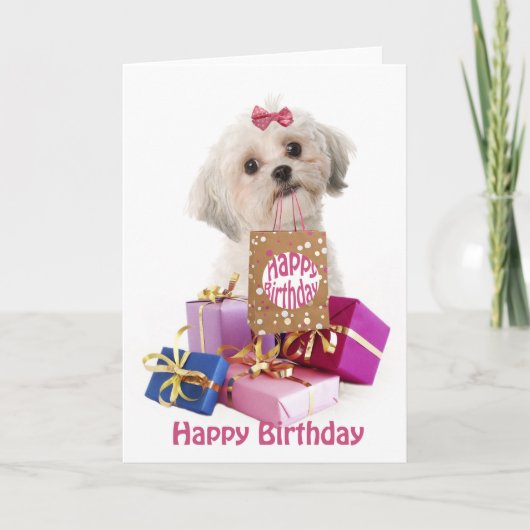 Sweet birthday card dog Maltese and presents カード (正面)