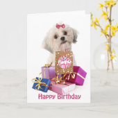 Sweet birthday card dog Maltese and presents カード (黄色い花)