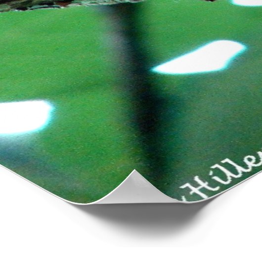 Sweet Chipmunk in a Tree Poster ポスター (角)