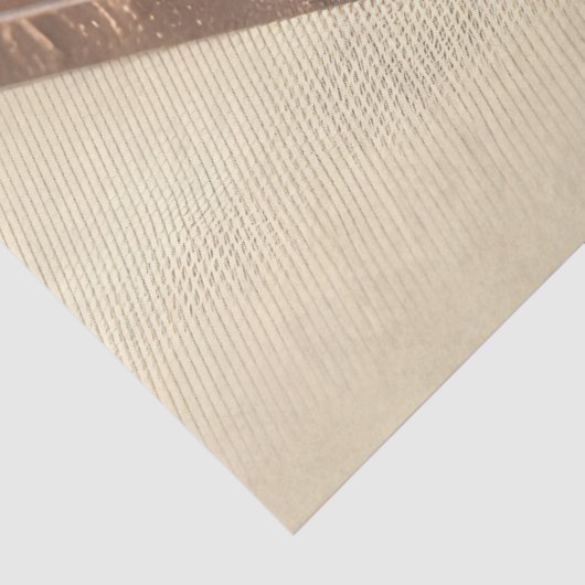 Sweet Chocolate, Chocolate Paste Bowl And Raw Nuts 薄葉紙 (詳細)