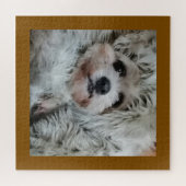 Sweet dog, puppy ジグソーパズル (横)