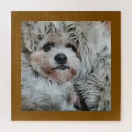 Sweet dog, puppy ジグソーパズル