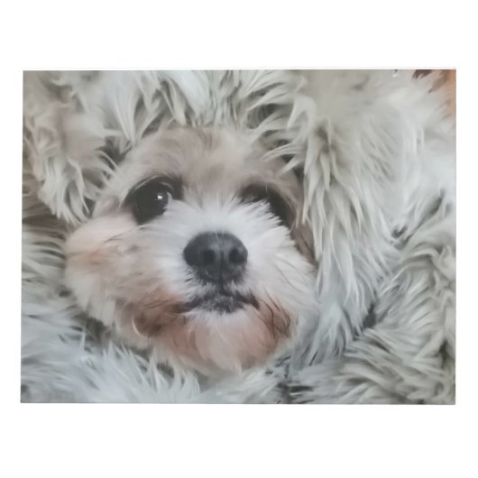 Sweet dog, puppy ノートパッド (正面)