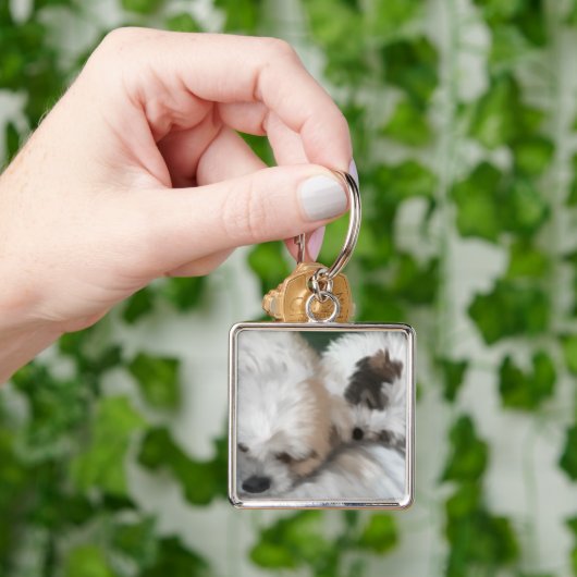 Sweet dogs, キーホルダー (手)