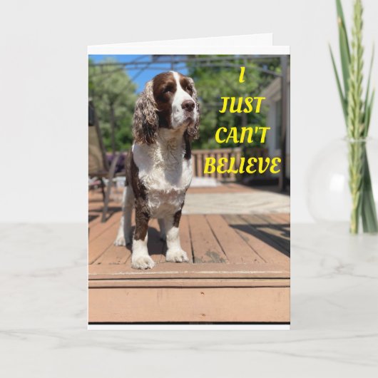 SWEET DOGS SAYS HAPPY 50誕生日!カード カード (正面)