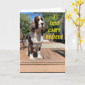 SWEET DOGS SAYS HAPPY 50誕生日!カード カード (黄色い花)