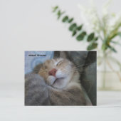 sweet dreams cat taking her nap postcard ポストカード (スタンド正面)