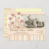 Sweet Groovy開花ベビー発表 案内ポストカード (正面/裏面)