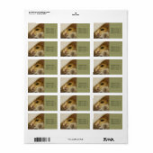 Sweet Kitten / Cat Photo住所 シール (フルシート)