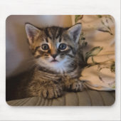 Sweet kitty マウスパッド (正面)