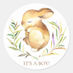 Sweet Little Bunny It'a Boy Favoritesステッカー ラウンドシール