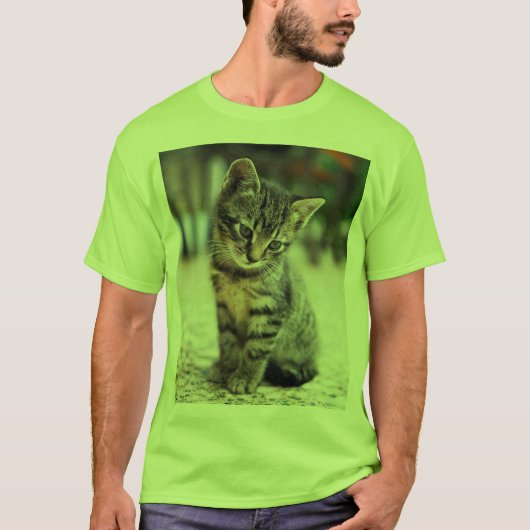 Sweet Little Cat Lover's Graphic Tee - Men's Shirt Tシャツ (正面)