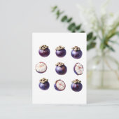 Sweet Mangosteen Tropical Fruit ポストカード (スタンド正面)