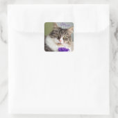 Sweet Miaシール スクエアシール (バッグ)