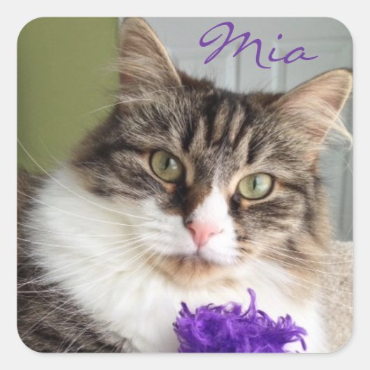 Sweet Miaシール スクエアシール (正面)