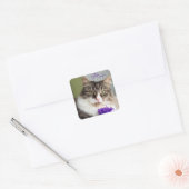 Sweet Miaシール スクエアシール (封筒)