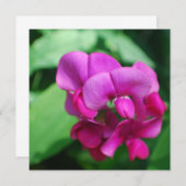 Sweet Pea Invitations 招待状 (正面/裏面)